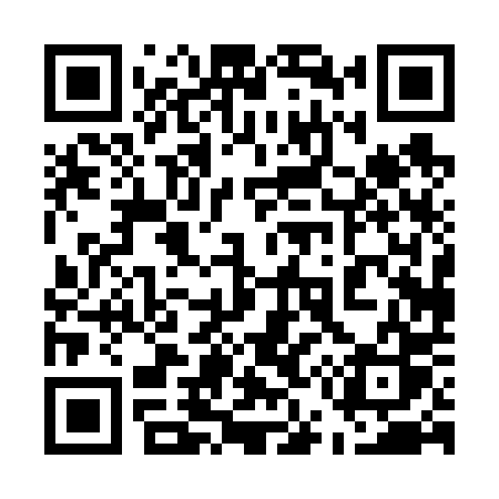QR code for 55060S