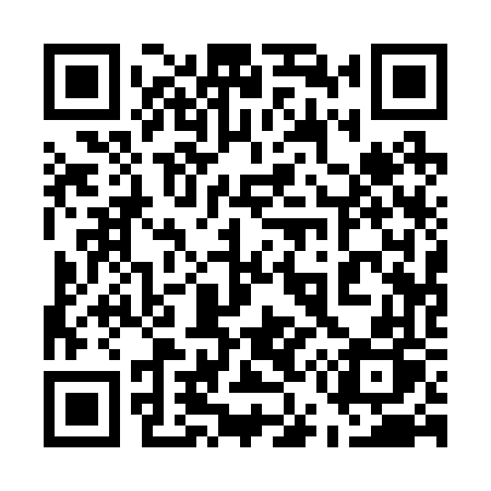 QR code for 55126P