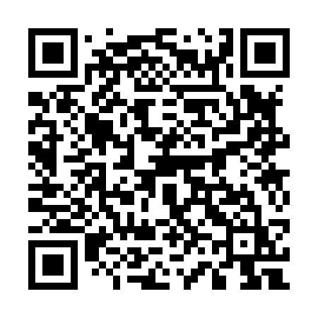 QR code for 56383Z