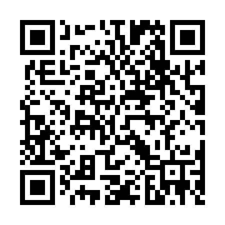 QR code for 60113T