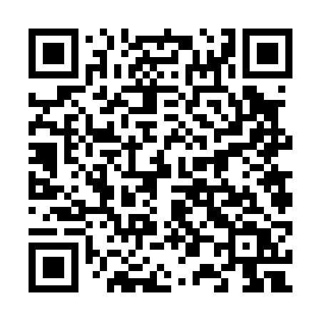 QR code for 60602T