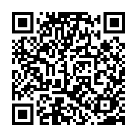 QR code for 60611O