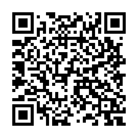 QR code for 60810P