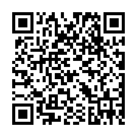 QR code for 6161JS