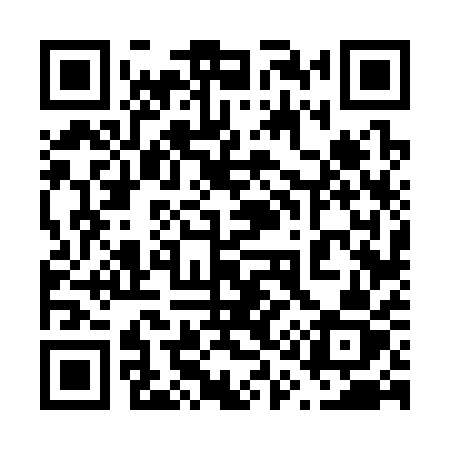 QR code for 61631Z