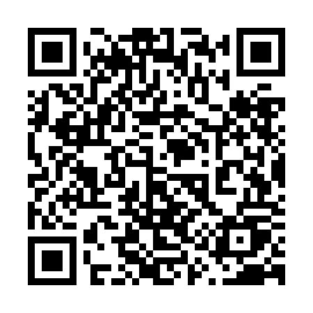 QR code for 617ZOU