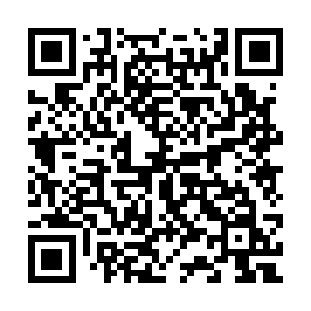 QR code for 63013N