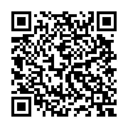 QR code for 63100U