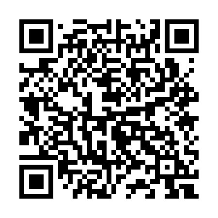 QR code for 6313QI