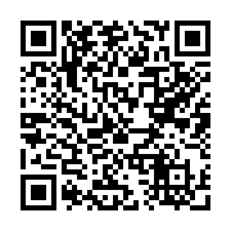 QR code for 63335X