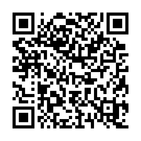 QR code for 6333SI