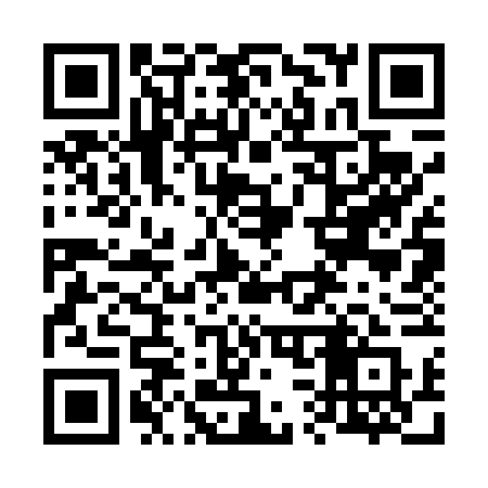 QR code for 63346Q