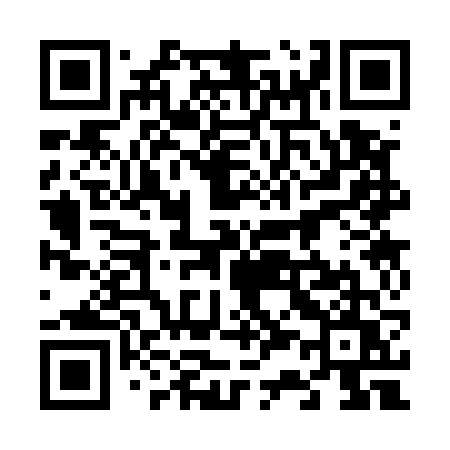 QR code for 63356U