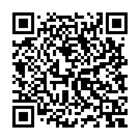 QR code for 63417P