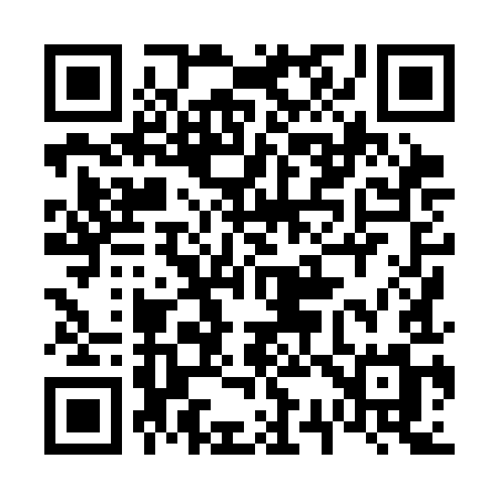 QR code for 6383IM