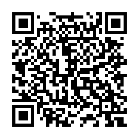 QR code for 6384PO