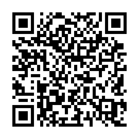 QR code for 6393IA