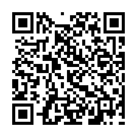 QR code for 64111P