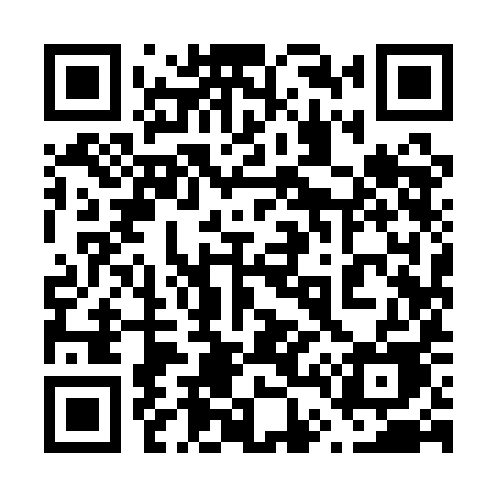 QR code for 6491IE