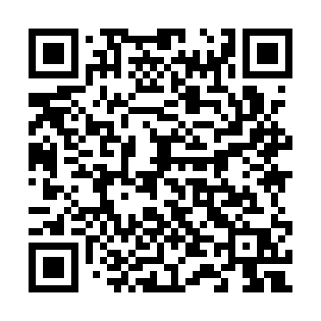 QR code for 6491QP
