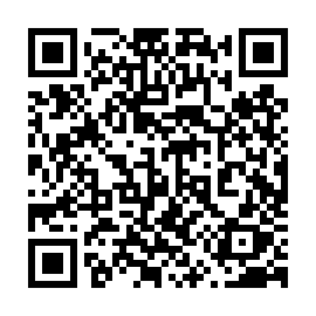QR code for 650DZX