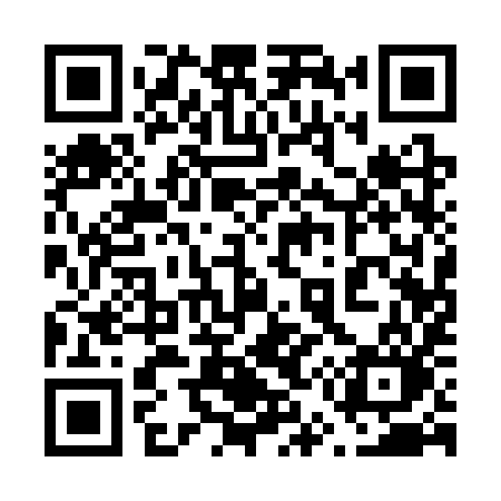 QR code for 6513YO