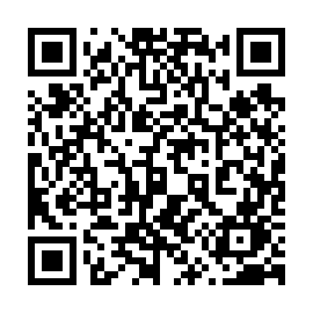 QR code for 65167N
