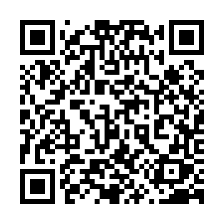 QR code for 65316X