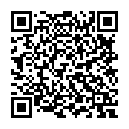 QR code for 65382Q