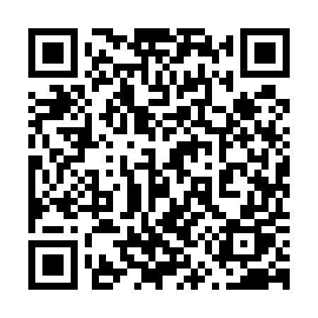 QR code for 65955P