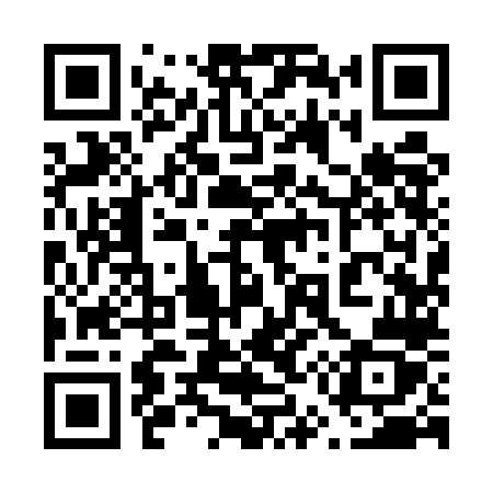 QR code for 6595LZ