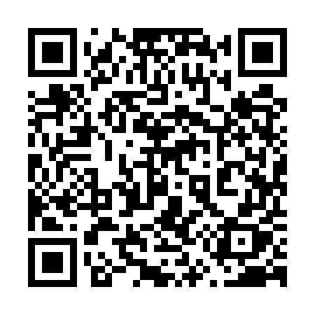 QR code for 6595UX