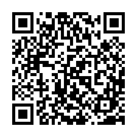 QR code for 66004L