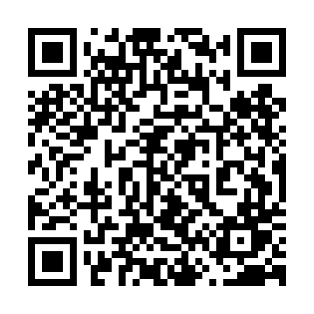 QR code for 665DDT