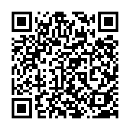 QR code for 6665AI