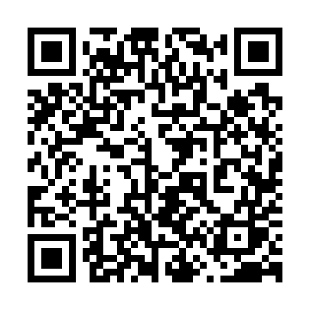 QR code for 66675S