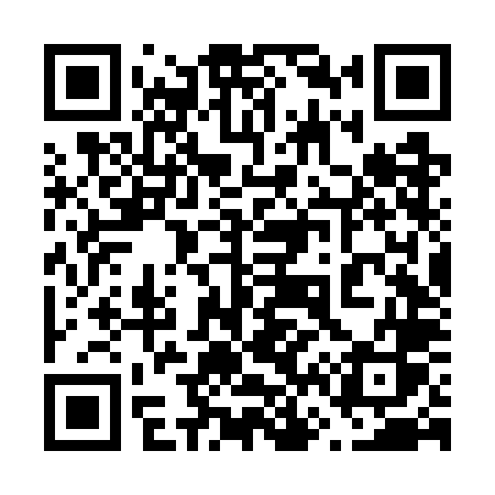 QR code for 666WLS