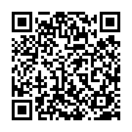 QR code for 66863L