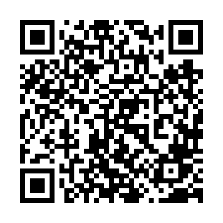 QR code for 6686TV