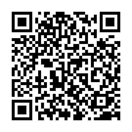 QR code for 6699QQ