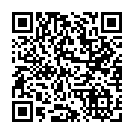 QR code for 687CEO