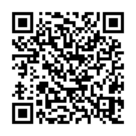 QR code for 696IOS