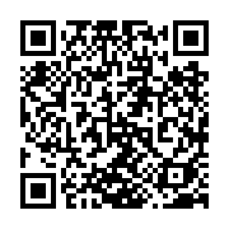 QR code for 6987AI