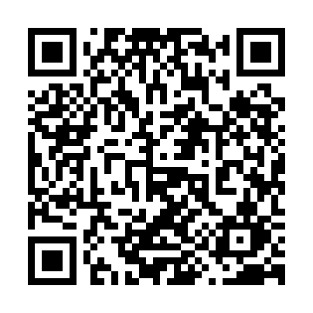 QR code for 6991CN