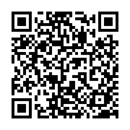 QR code for 7333PM