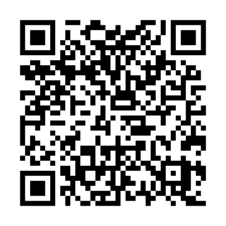 QR code for 737IVY