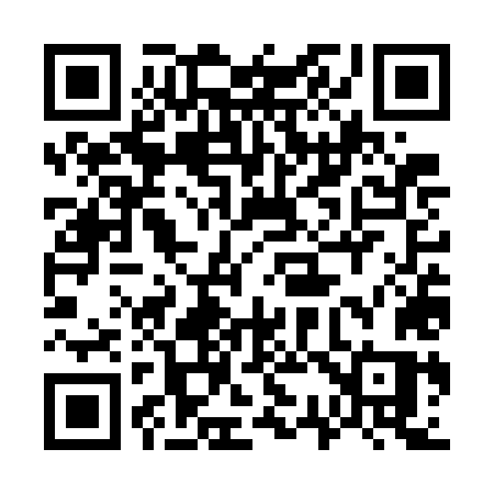 QR code for 737WLS