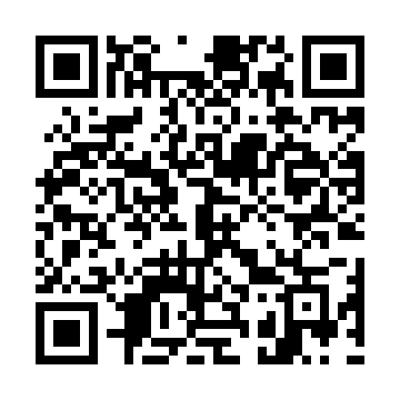 QR code for 738IBG