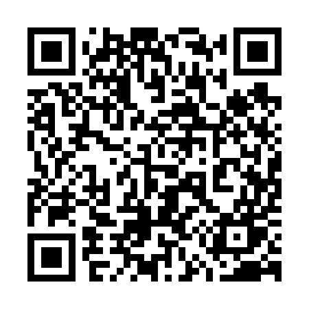QR code for 75165W