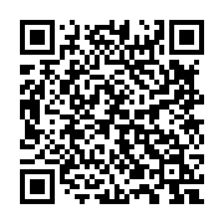QR code for 75387N